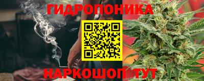 гидра Краснознаменск