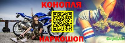 гидра Краснознаменск