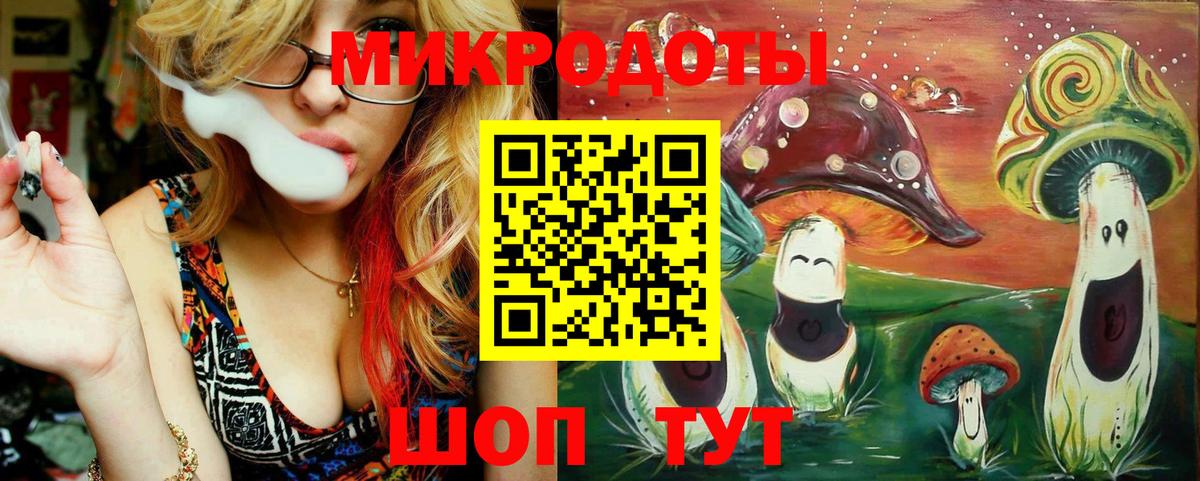 Псилоцибиновые грибы Psilocybine cubensis Елабуга