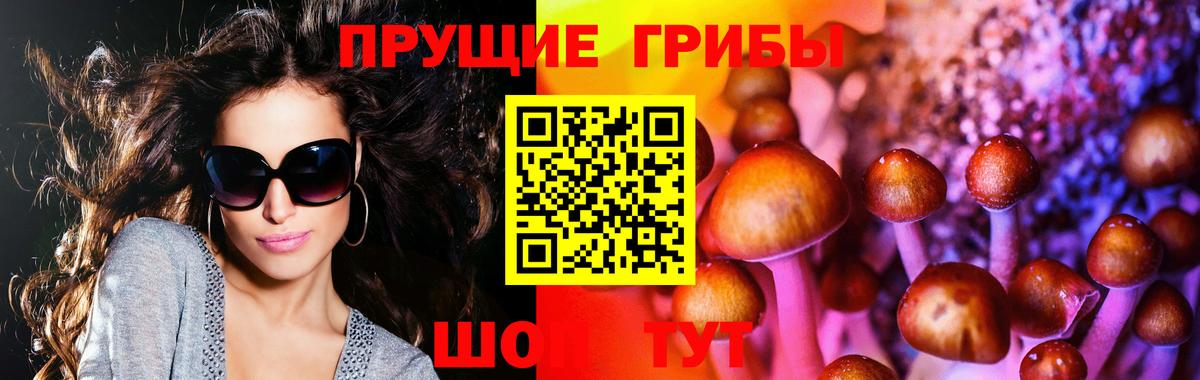 Галлюциногенные грибы Psilocybine cubensis  Вход с VPN  Елабуга 